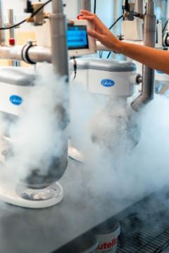 Chill-N Nitrogen Ice Cream Brentwood